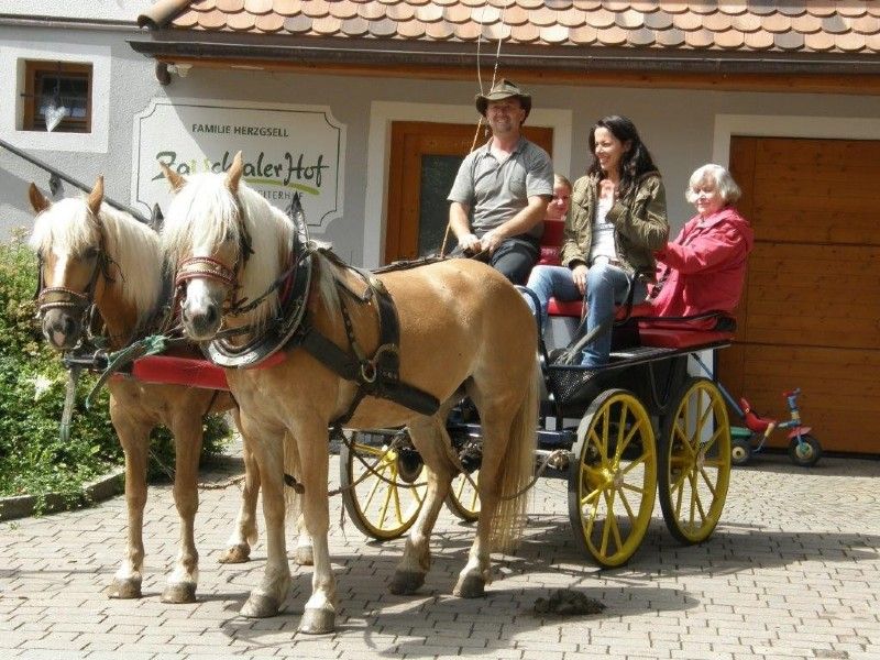 Abfahrt vom Zauchtalerhof