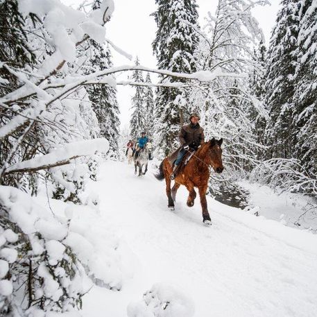 Winterreiten