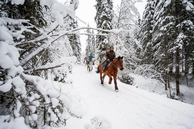 Winterreiten