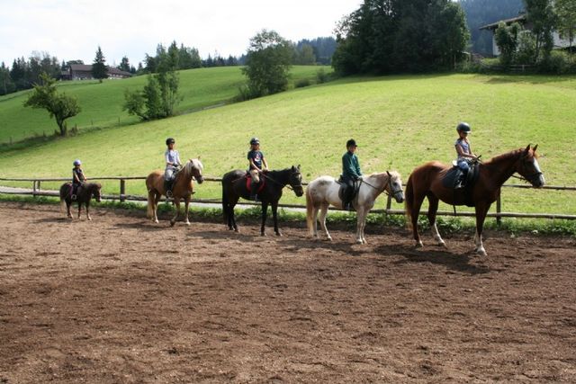 Kinder mit Pferden