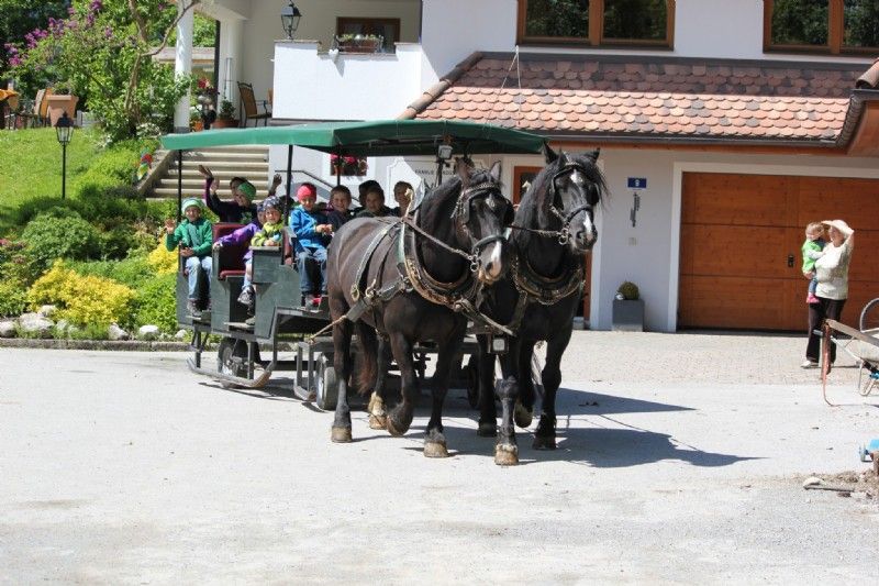 Kutschenfahrt