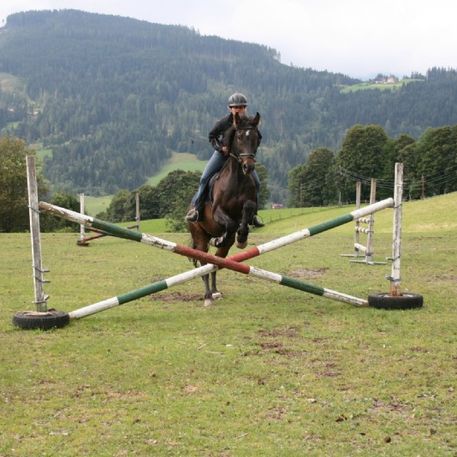 Sprung über Hinderniss